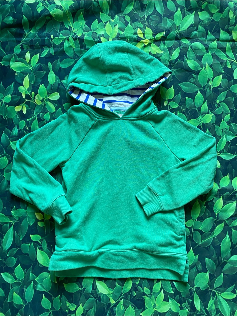 Mini Boden Green Hooded Sweatshirt with Striped Lining